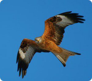 IMG_1711