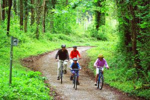 Canaston woods cycling
