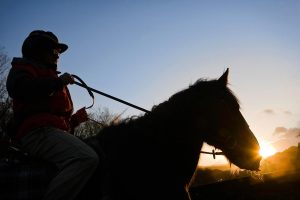 Silhouette of horse rider Ty Coch Farm Near Penmachno Gwynedd North Horseriding Activities & Sports