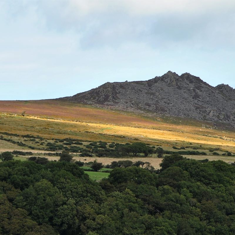 Our ever-present backdrop - Carningli Carningli in North Pembrokeshire
