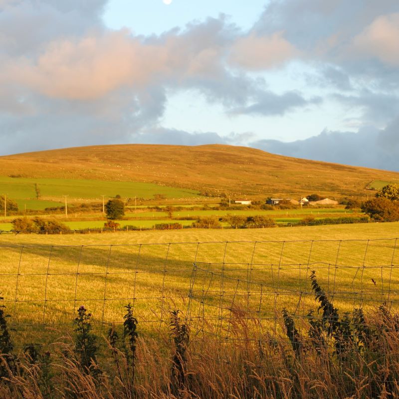 The iridescent colours on a summer's evening, from the cottages The setting sun in Pembrokeshire