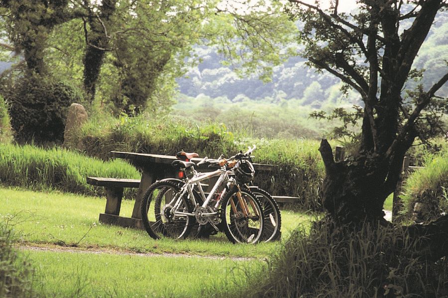 Gwaun Valley cycling on the doorstep (Courtesy of PCC Image Library) Plenty of cycle routes in and around Tregynon Cottages