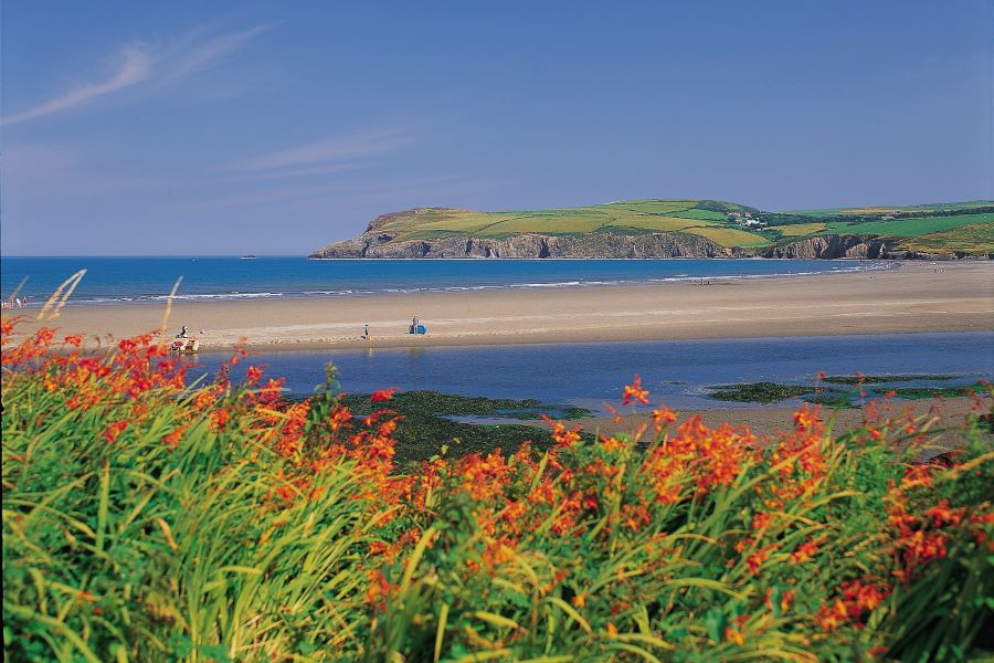 Newport's beautiful beach, with immediate access to the coastal path (Courtesy of PCC Image Library) Newport Pembrokeshire is only four miles by road from Tregynon Cottages